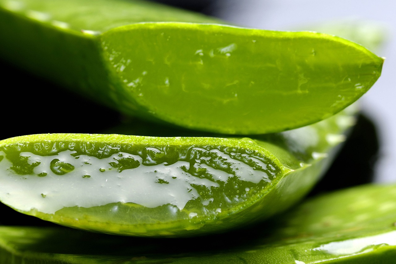 Bienfaits de l'aloe Vera