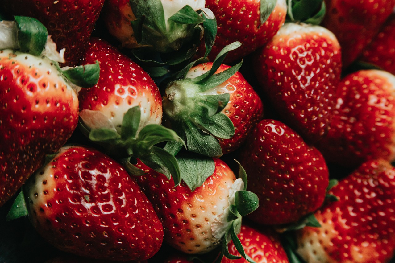 alimentation et performance cognitive