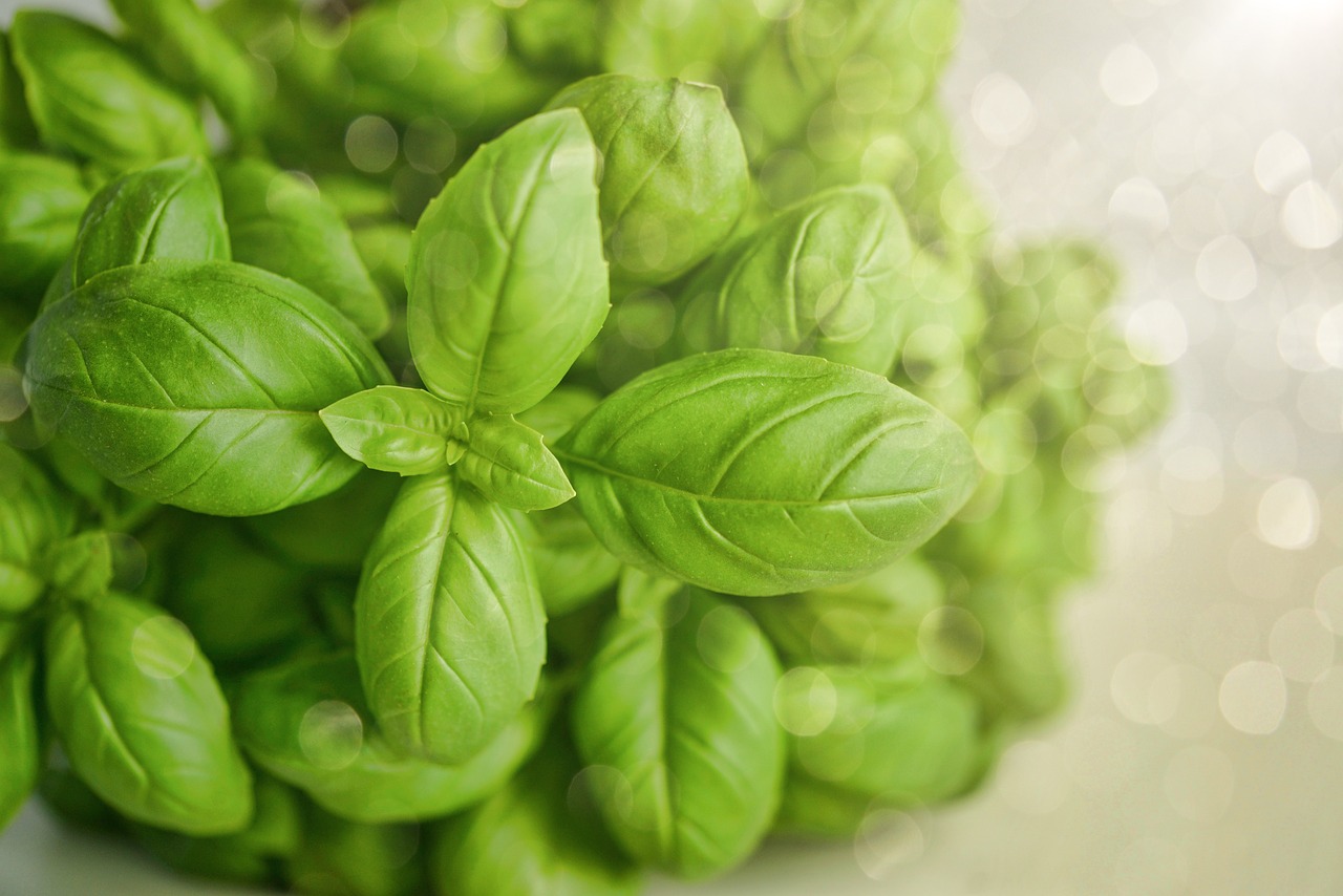 ire les étiquettes alimentaires