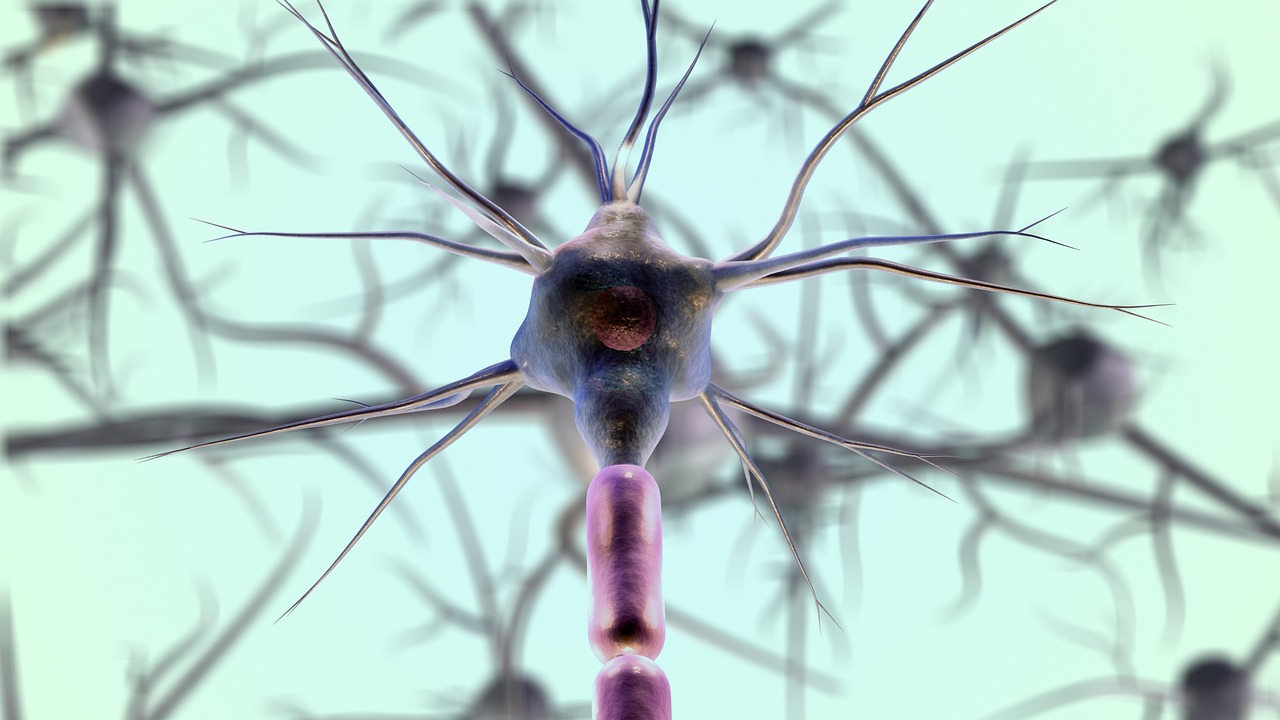 Kinésithérapie neurologique